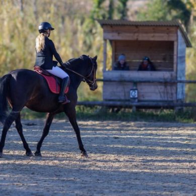 Concours au club récent